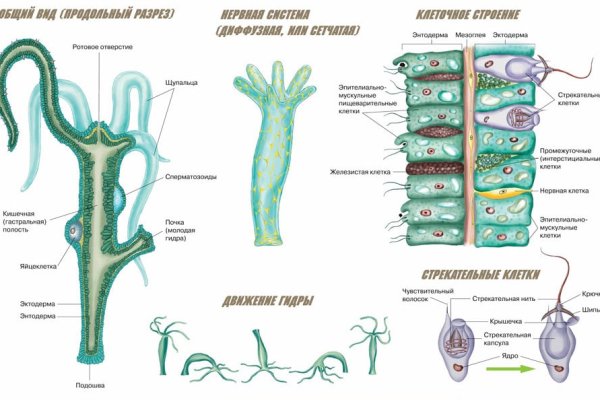 Kraken наркошоп