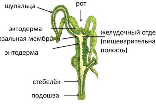 Кракен вывод средств