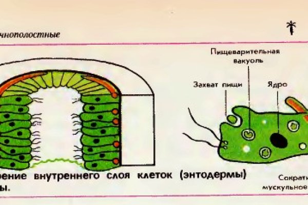 Кракен шоп даркнет